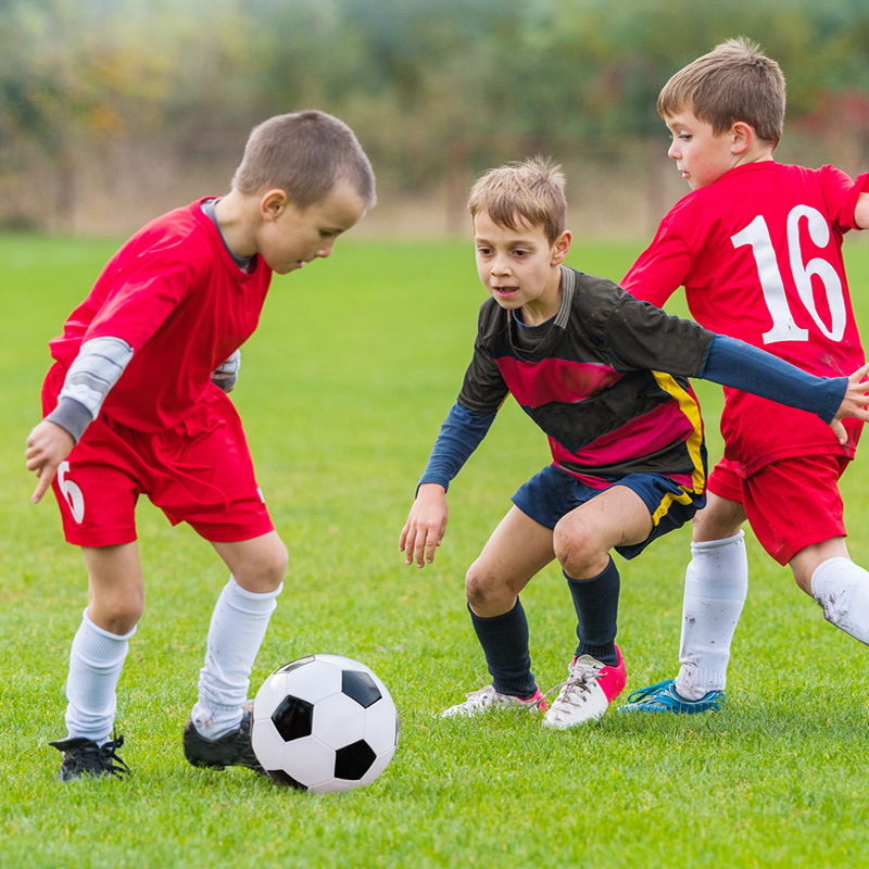 1 Zestaw Lekkich, Przenośnych  – Training Net Mini recenzja i cena